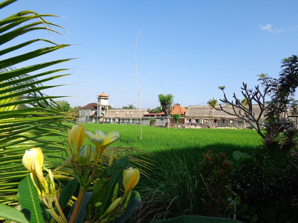 Bening Bungalow Ubud Buitenkant foto