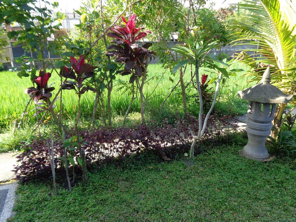 Bening Bungalow Ubud Buitenkant foto