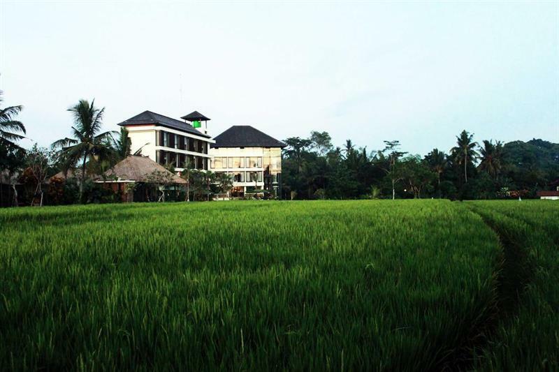 Bening Bungalow Ubud Buitenkant foto