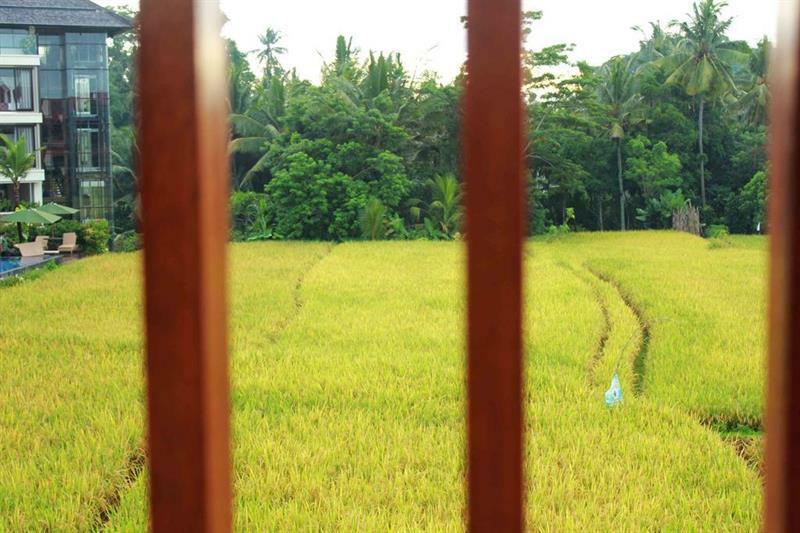 Bening Bungalow Ubud Buitenkant foto